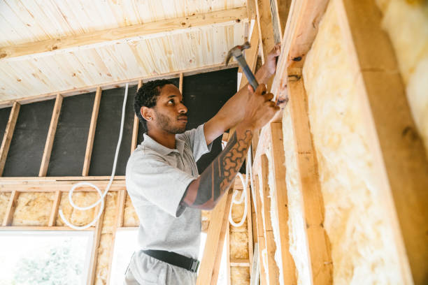 Best Wall Insulation Installation  in Old Fig Garden, CA